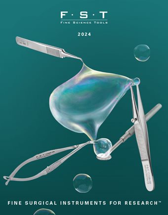 2024