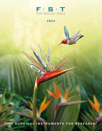 2023 Hummingbird