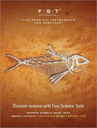 2013 - Fish