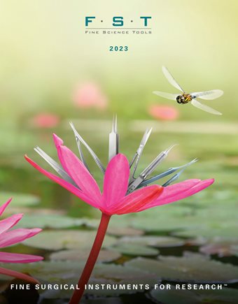 2023 Dragonfly